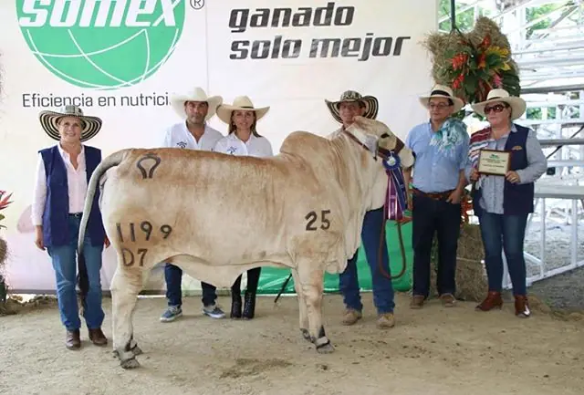 Feria de Puerto Boyacá (marzo) 2019 — Hacienda Monterrey, foto 3
