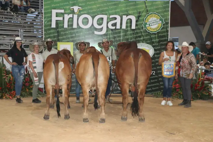 Mejor descendencia de un mismo toro, Monterrey Tanque Trueno 972/8