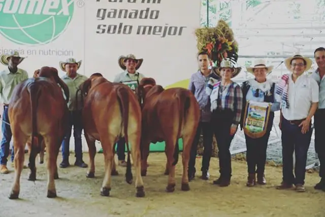 Feria de Puerto Boyacá (marzo) 2019 — Hacienda Monterrey, foto 9