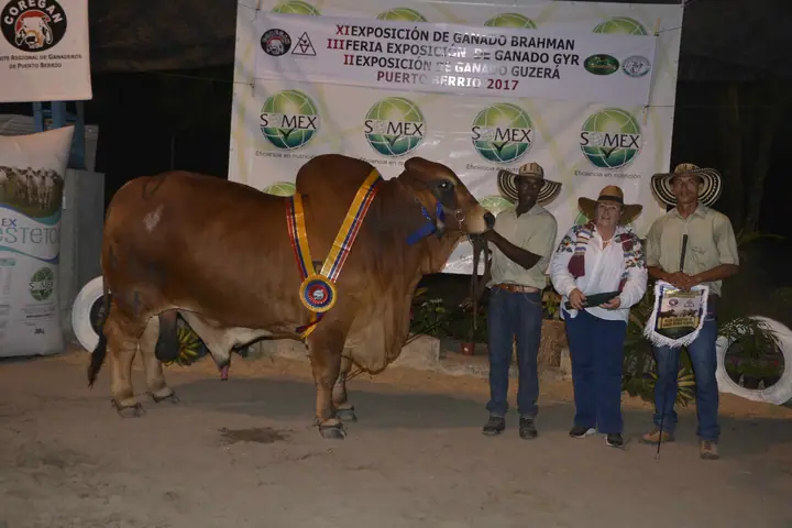 Feria Puerto Berrío (mayo) 2017 — Hacienda Monterrey, foto 1