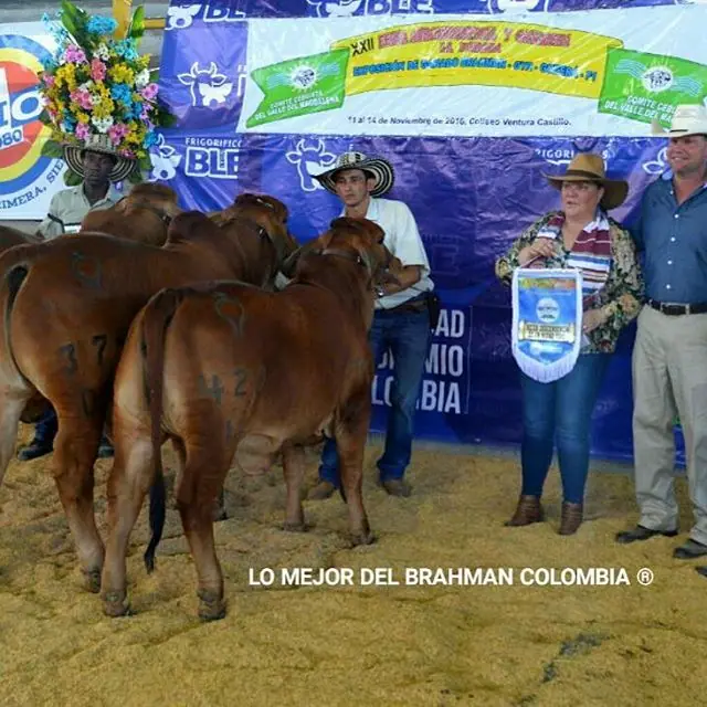 Feria La Dorada — Hacienda Monterrey, foto 17
