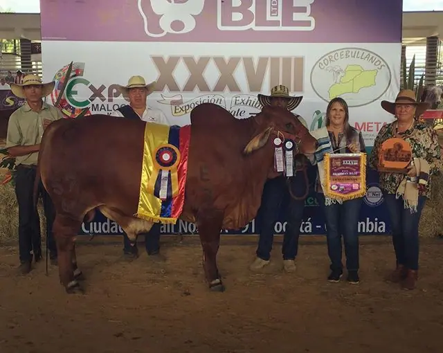 Gran Campeón, Campeón Joven Monterrey Maximiliano 577/66