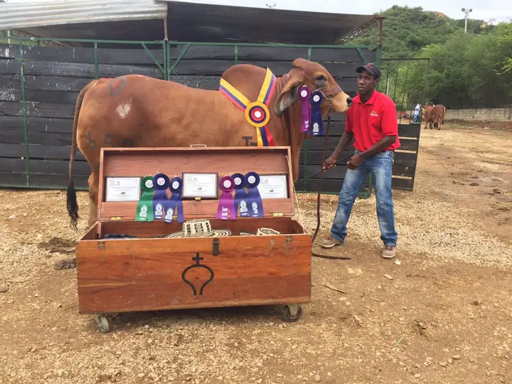 Agroferia Bucaramanga 2016 — Hacienda Monterrey, foto 9