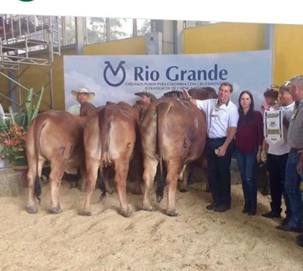 Mejor descendencia de un mismo toro: Monterrey Tanque Trueno