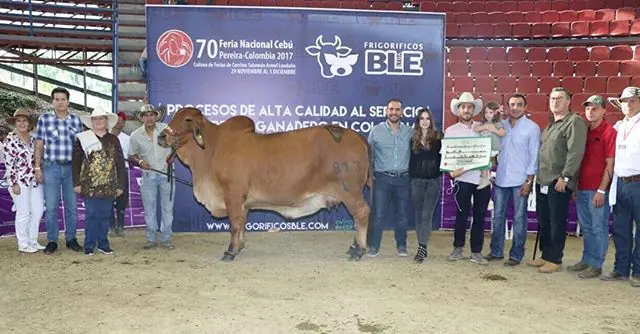 Feria Nacional Pereira 2017 — Hacienda Monterrey, foto 5