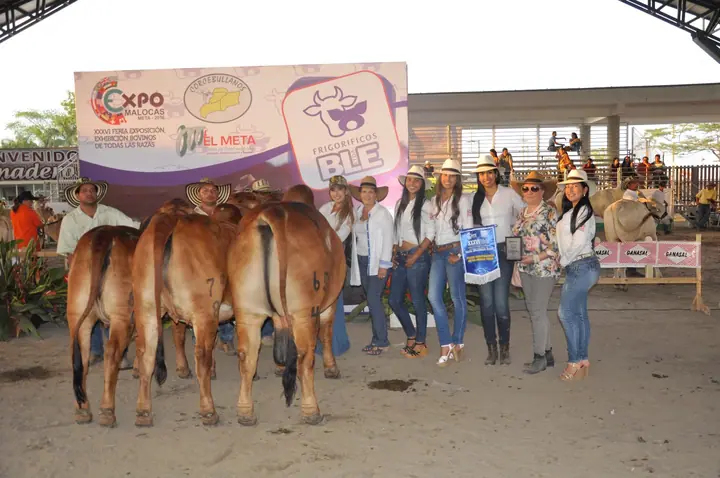 Feria Expomalocas Villavicencio 2016 — Hacienda Monterrey, foto 7