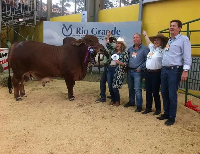 Campeon Joven R Monterrey Maximiliano 577/6666