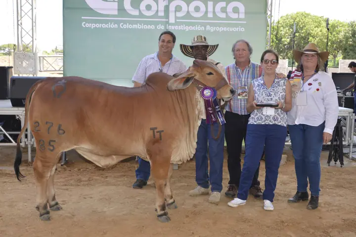 Feria Valledupar 2016 — Hacienda Monterrey, foto 2