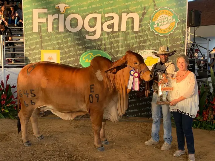 Campeona Senior de la Feria de ExpoMalocas Villavicencio 2020, Monterrey Smoking Helena 545/66