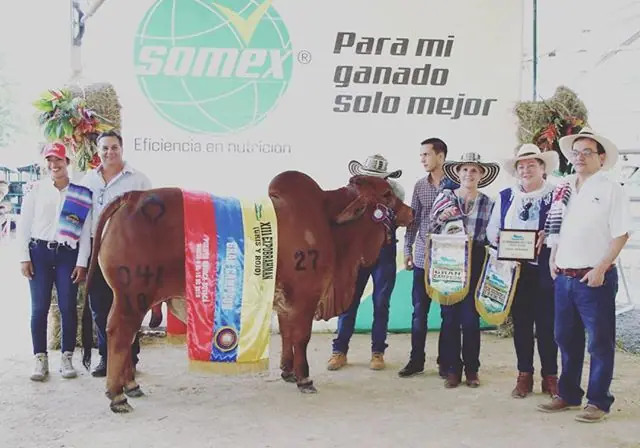 Feria de Puerto Boyacá (marzo) 2019 — Hacienda Monterrey, foto 1