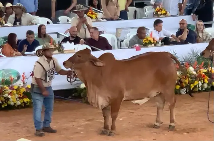 Feria Internacional de las Flores, Medellín 2022 — Hacienda Monterrey, foto 4