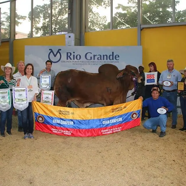 Gran Campeón, Monterrey Trueno Monarca 650/44