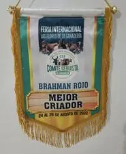 Feria Internacional de las Flores, Medellín 2022 — Hacienda Monterrey, foto 7