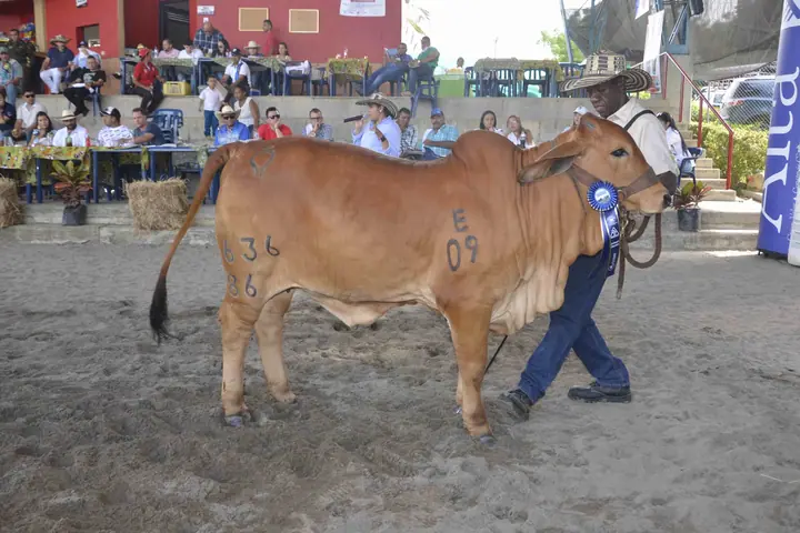 Feria Puerto Berrío (mayo) 2017 — Hacienda Monterrey, foto 16