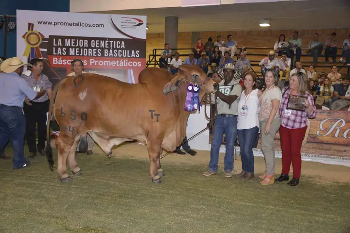Monterrey Trueno Monarca: Gran Campeón, Agroferia Bucaramanga 2016