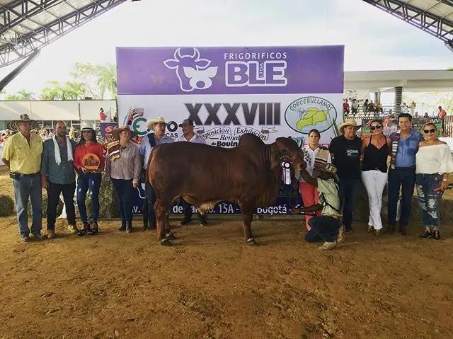 Gran Campeón, Campeón Joven Monterrey Maximiliano 577/66