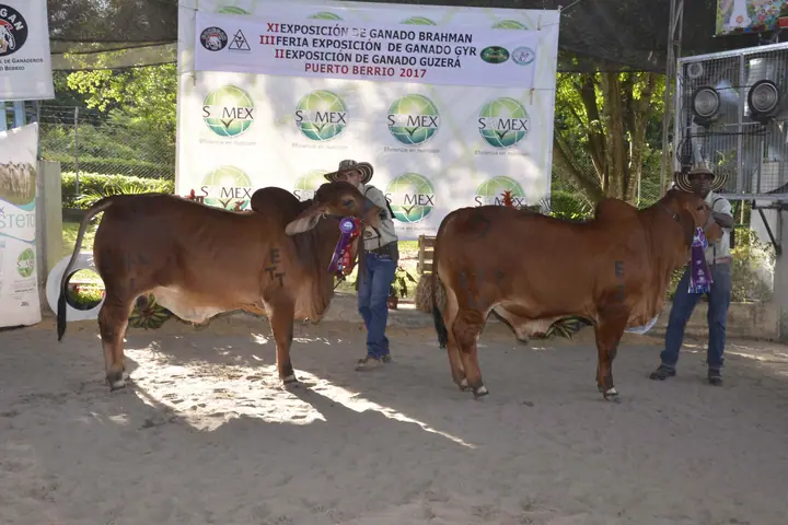 Feria Puerto Berrío (mayo) 2017 — Hacienda Monterrey, foto 6