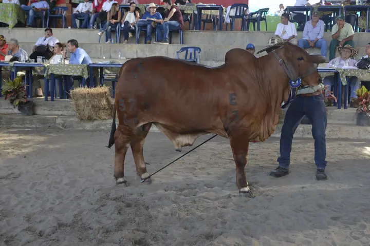 Feria Puerto Berrío (mayo) 2017 — Hacienda Monterrey, foto 9