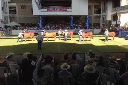 Hacienda Monterrey en feria ganadera