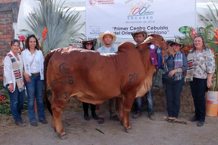 Hijos de toro rojo felix 820/8
