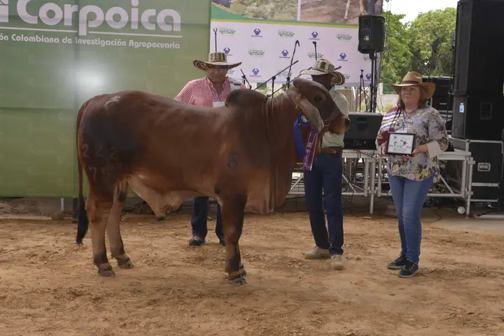 Feria Valledupar 2016 — Hacienda Monterrey, foto 5