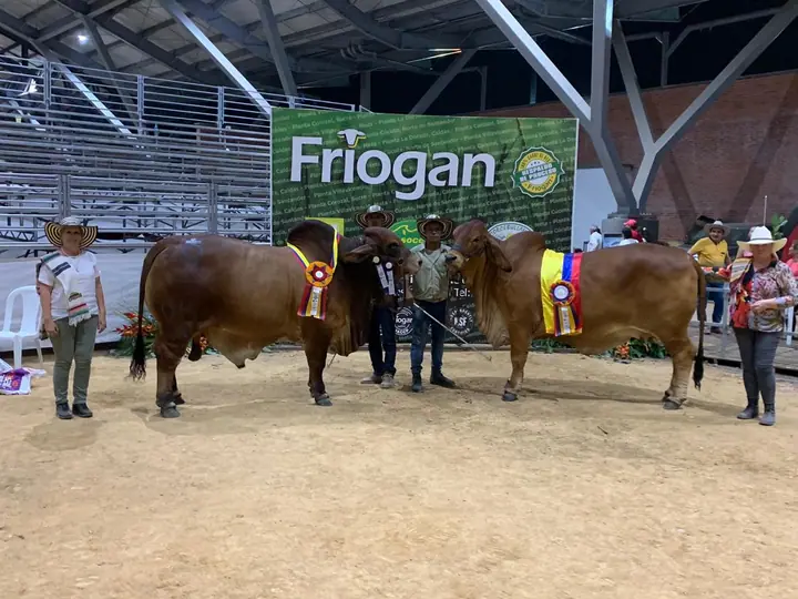 Nuestros grandes campeones de la feria