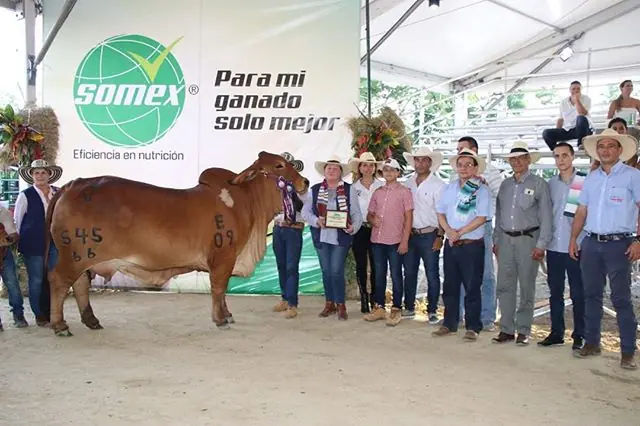 Feria de Puerto Boyacá (marzo) 2019 — Hacienda Monterrey, foto 4