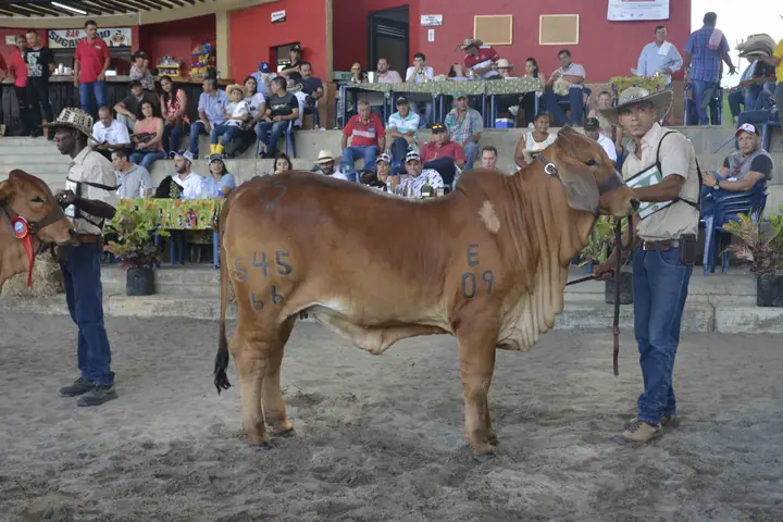 Feria Puerto Berrío (mayo) 2017 — Hacienda Monterrey, foto 15