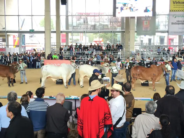 Agroexpo Bogotá 2015 — Hacienda Monterrey, foto 7