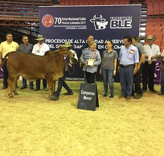 Campeona Menor, Monterrey Smoking Camila 619/D6 durante la Feria Nacional de Pereira 2017