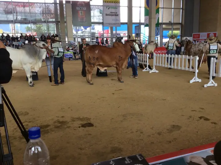 Agroexpo Bogotá 2015 — Hacienda Monterrey, foto 6