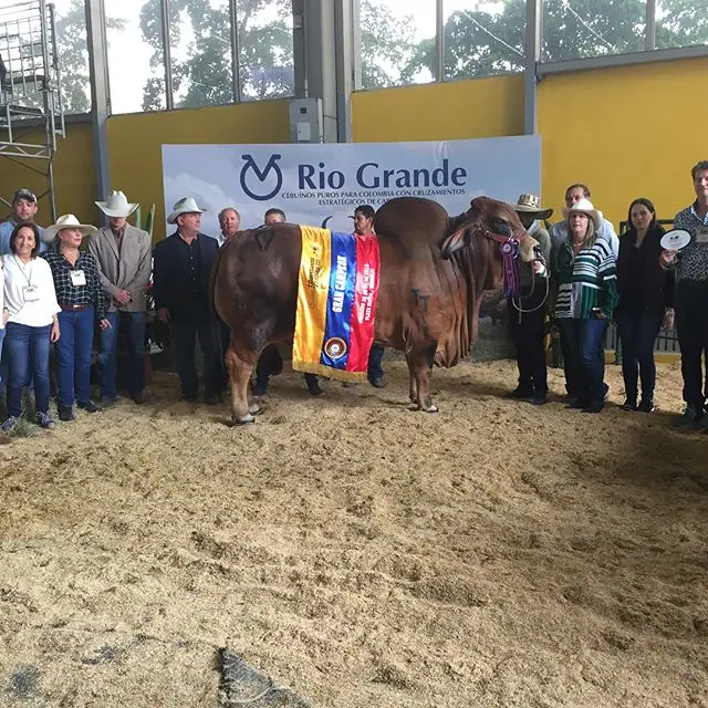 Gran Campeón, Monterrey Trueno Monarca 650/44