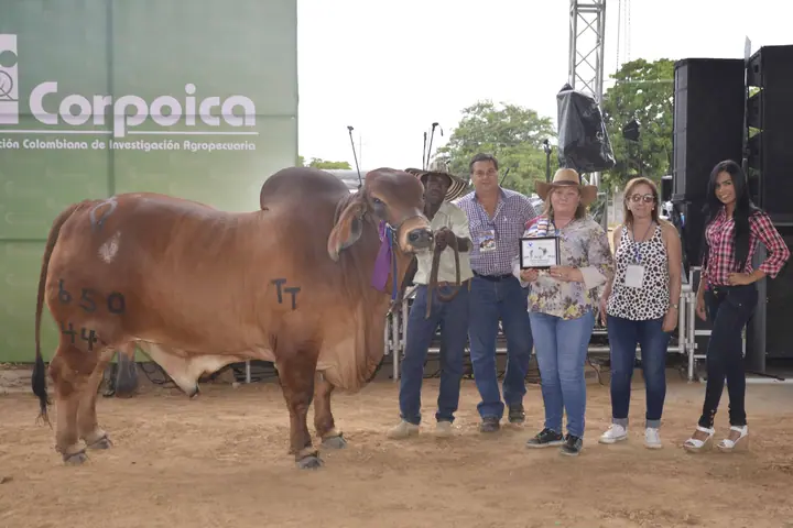 Feria Valledupar 2016 — Hacienda Monterrey, foto 7