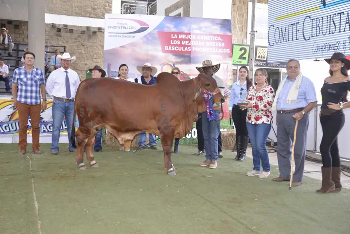 Monterrey Maximiliano 577-66, Campeón Ternero. Monterrey Rojo Puro