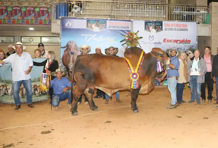 Feria Internacional de las Flores, Medellín 2022 — Hacienda Monterrey, foto 2