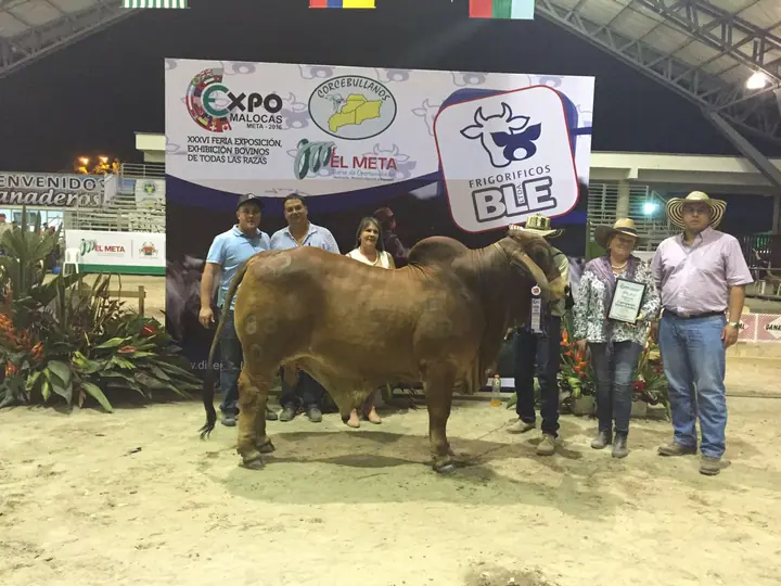 Feria Expomalocas Villavicencio 2016 — Hacienda Monterrey, foto 2