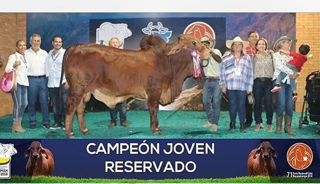 Mundial Bucaramanga (noviembre) 2018 — Hacienda Monterrey, foto 13