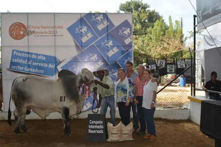 Campeón Intermedio Reservado, Feria Nal Monteria 2013. Monterrey Echo Beethoven 032/62