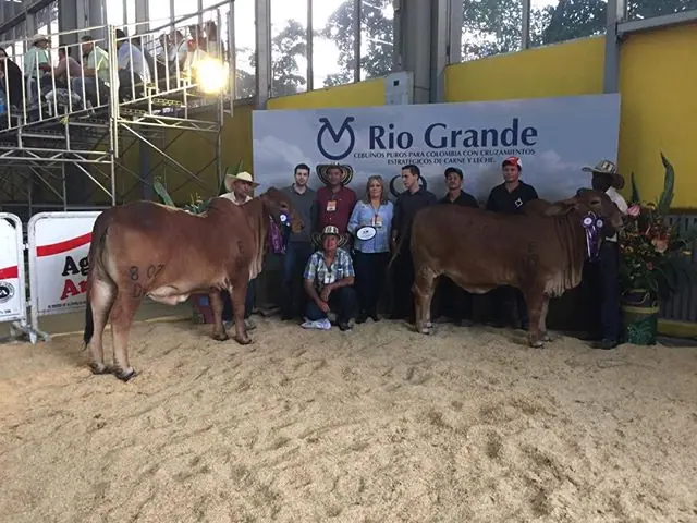 Campeonas Terneras: Monterrey Smoking Camila 819/D6. Monterrey Winchester Mary 807/D6