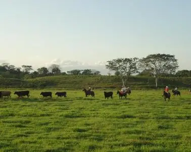 Potreros de Hacienda Monterrey