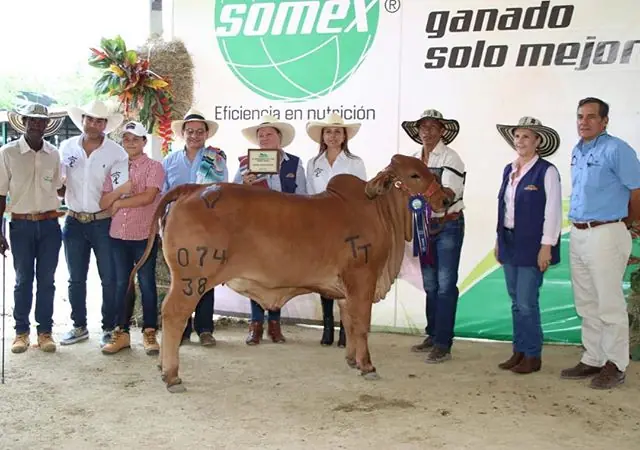 Feria de Puerto Boyacá (marzo) 2019 — Hacienda Monterrey, foto 6