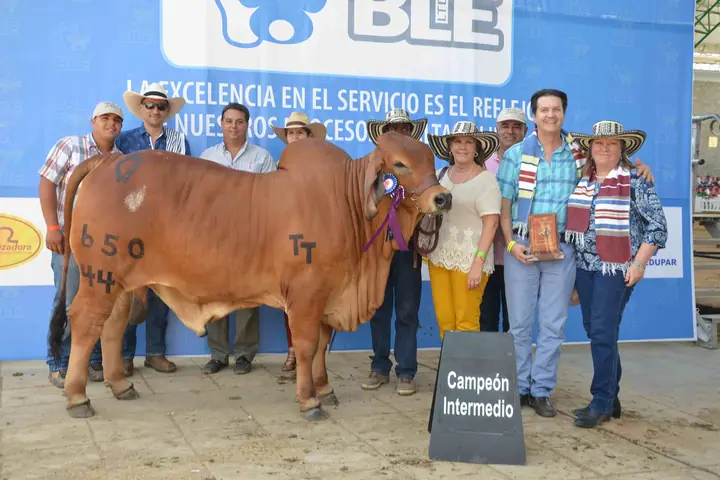 Feria Nacional Cebú Valledupar 2015 — Hacienda Monterrey, foto 8