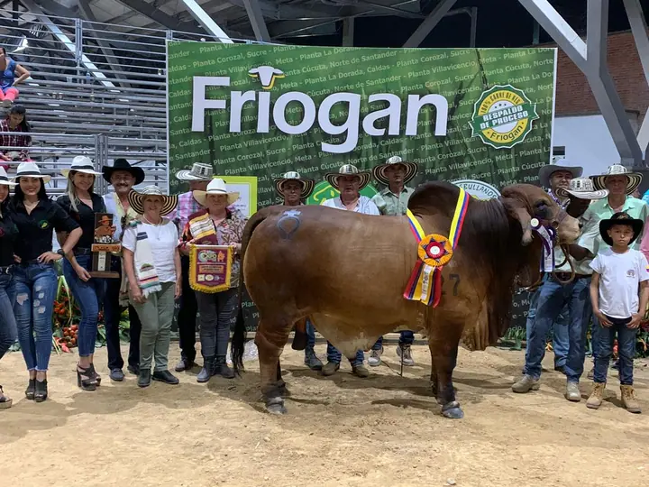 Gran Campeón R., Monterrey Winchester Rolo 041/18