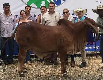 Feria Caucasia (octubre) 2016 — Hacienda Monterrey, foto 4