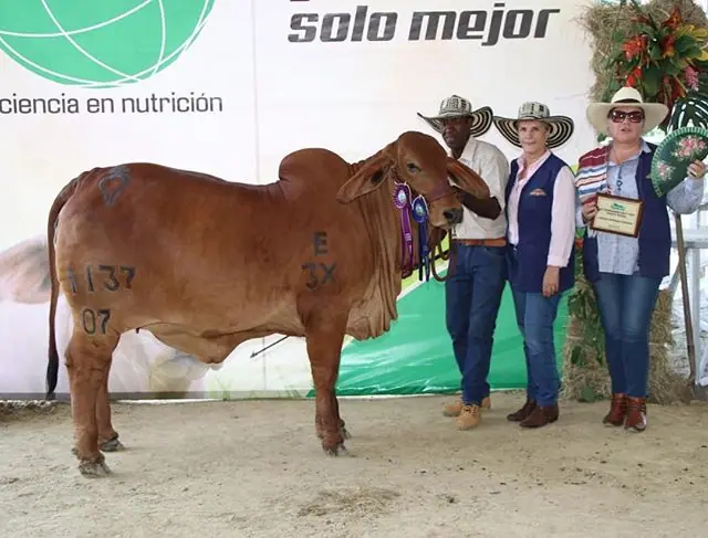 Feria de Puerto Boyacá (marzo) 2019 — Hacienda Monterrey, foto 5