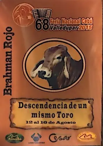Feria Nacional Cebú Valledupar 2015 — Hacienda Monterrey, foto 1