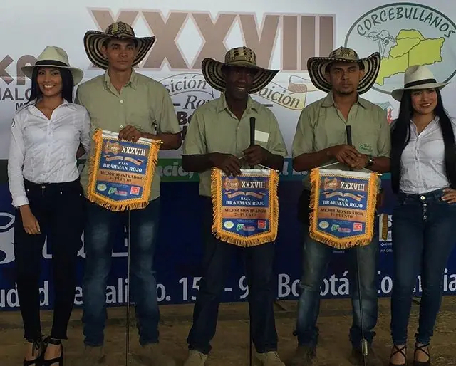 Segundo puesto Mejor Mostrador.