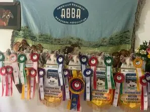 Feria Internacional de las Flores, Medellín 2022 — Hacienda Monterrey, foto 9