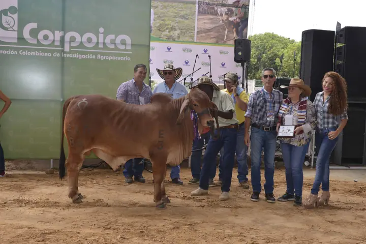 Feria Valledupar 2016 — Hacienda Monterrey, foto 4