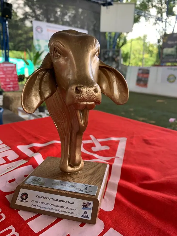 Feria Internacional de las Flores, Medellín 2022 — Hacienda Monterrey, foto 10